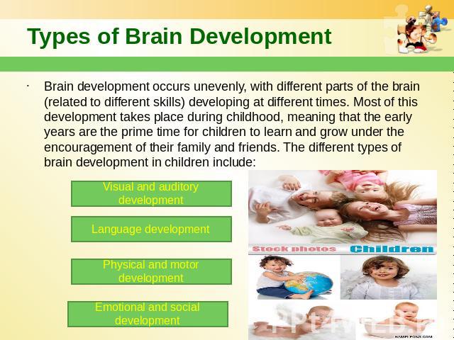 Types of Brain Development Brain development occurs unevenly, with different parts of the brain (related to different skills) developing at different times. Most of this development takes place during childhood, meaning that the early years are the …