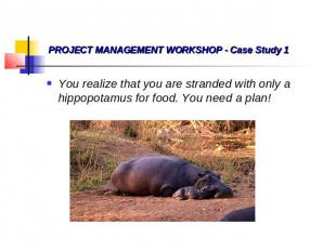 PROJECT MANAGEMENT WORKSHOP - Case Study 1 You realize that you are stranded wit