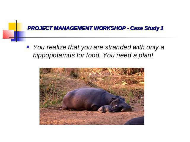 PROJECT MANAGEMENT WORKSHOP - Case Study 1 You realize that you are stranded with only a hippopotamus for food. You need a plan! You realize that you are stranded with only a hippopotamus for food. You need a plan!