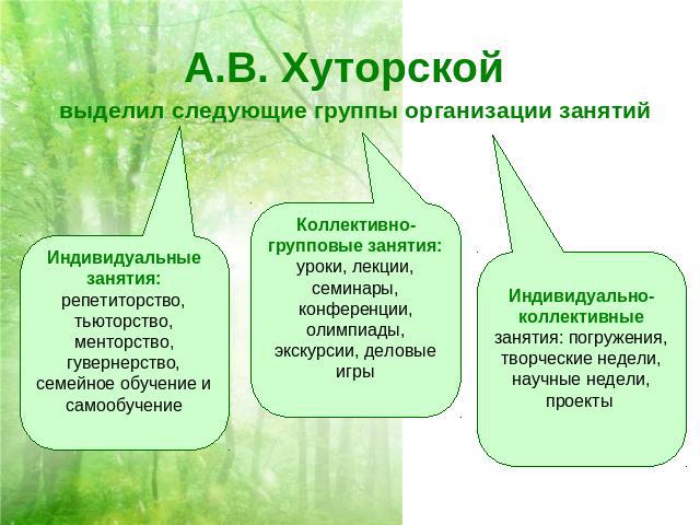 А.В. Хуторской выделил следующие группы организации занятий