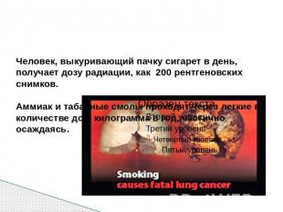 Человек, выкуривающий пачку сигарет в день, получает дозу радиации, как 200 рент