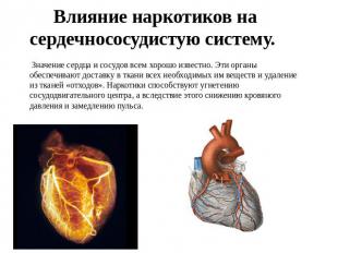 Влияние наркотиков на сердечнососудистую систему. Значение сердца и сосудов всем