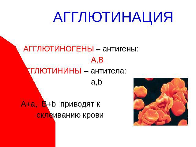 АГГЛЮТИНАЦИЯ АГГЛЮТИНОГЕНЫ – антигены: А,В АГГЛЮТИНИНЫ – антитела: a,b А+а, B+b приводят к склеиванию крови