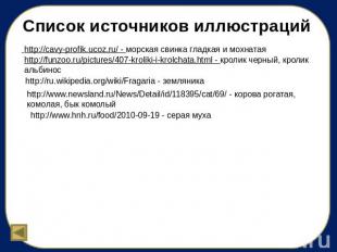 Список источников иллюстраций http://cavy-profik.ucoz.ru/ - морская свинка гладк