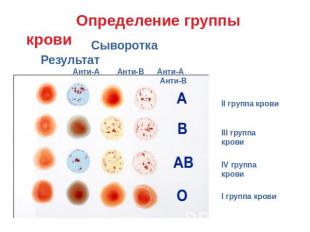 Определение группы крови