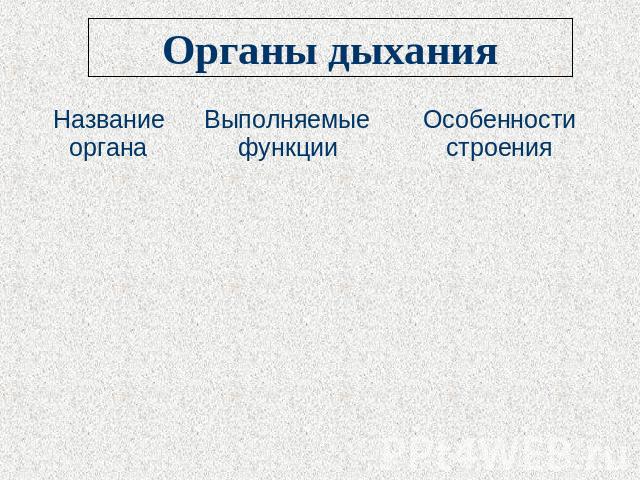 Органы дыхания