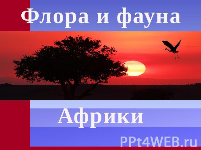 Флора и фауна Африки