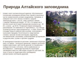 Природа Алтайского заповедника Климат носит континентальный характер, обусловлен