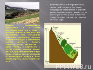 Похожие закономерности наблюдаются и в смене биогеографических зон в горах – выс