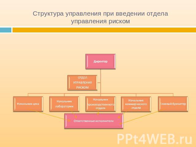 Структура управления при введении отдела управления риском