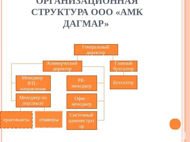 Организационная структура ООО «АМК ДАГМАР»