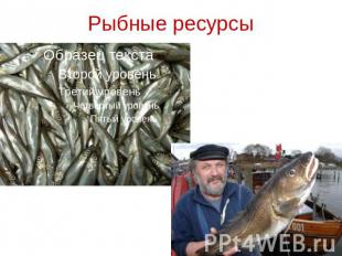 Рыбные ресурсы
