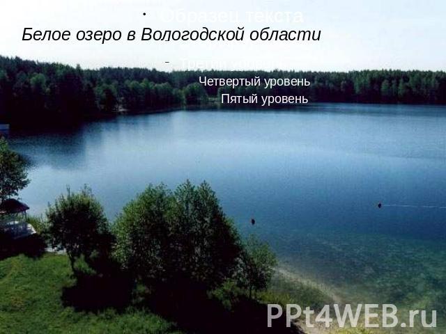 Белое озеро в Вологодской области