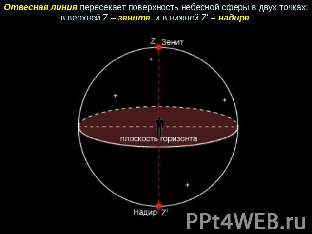 Отвесная линия пересекает поверхность небесной сферы в двух точках: в верхней Z – зените и в нижней Z' – надире.
