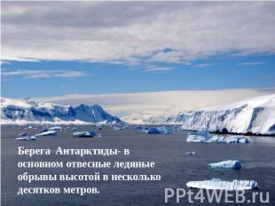 Берега Антарктиды- в основном отвесные ледяные обрывы высотой в несколько десятк