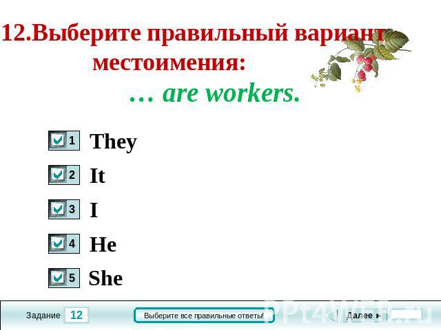 12.Выберите правильный вариант местоимения: … are workers They It I He She