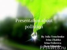 Presentation about pollution