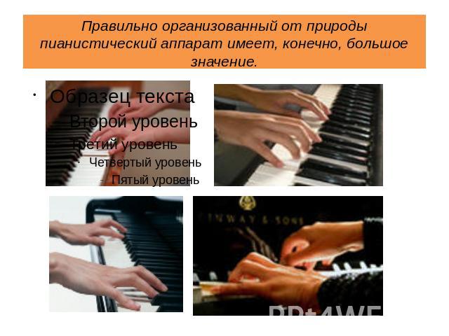 Правильно организованный от природы пианистический аппарат имеет, конечно, большое значение.