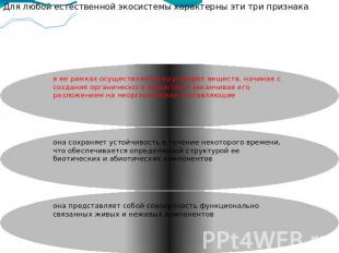 она сохраняет устойчивость в течение некоторого времени, что обеспечивается опре