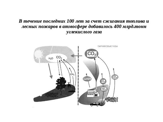 В течение последних 100 лет за счет сжигания топлива и лесных пожаров в атмосфере добавилось 400 млрд.тонн углекислого газа