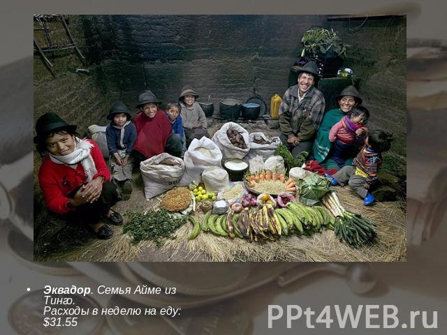 Эквадор. Семья Айме из Тинго.Расходы в неделю на еду: $31.55
