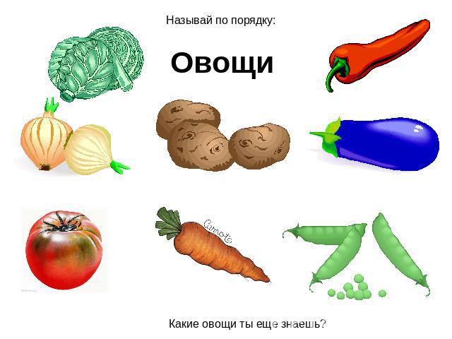 Называй по порядку: Овощи Какие овощи ты еще знаешь?