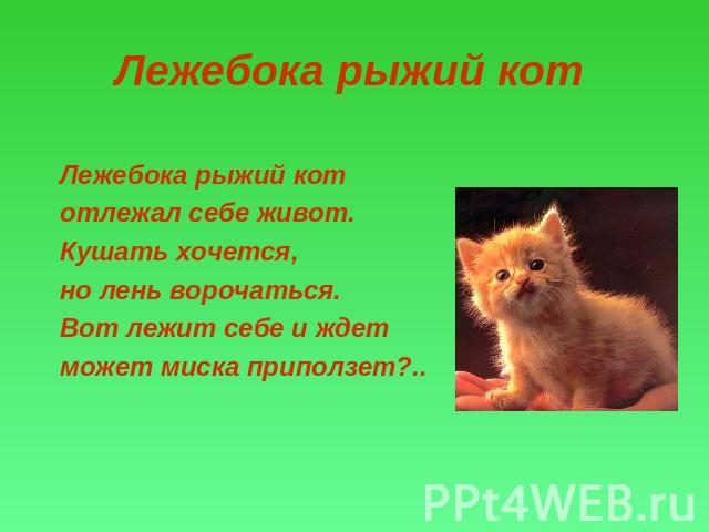 Лежебока pыжий кот Лежебока pыжий кот отлежал себе живот. Кушать хочется, но лень воpочаться. Вот лежит себе и ждет может миска пpиползет?..