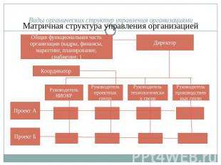 Матричная структура управления организацией