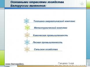 Основными отраслями хозяйства Белоруссии являются: Топливно-энергетический компл