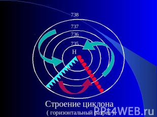 Строение циклона ( горизонтальный разрез )