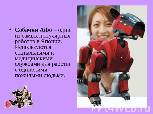 Собачки Aibo – одни из самых популярных роботов в Японии. Используются социальными и медицинскими службами для работы с одинокими пожилыми людьми.