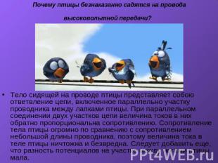 Почему птицы безнаказанно садятся на провода высоковольтной передачи? Тело сидящ