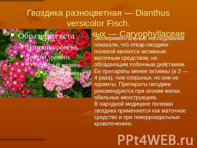 Гвоздика разноцветная — Dianthus versicolor Fisch.Семейство гвоздичных — Caryophyllaceae Экспериментальные исследования показали, что отвар гвоздики полевой является активным маточным средством, не обладающим побочным действием. Ее препараты менее а…