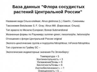 База данных "Флора сосудистых растений Центральной России" Название вида Ольха к
