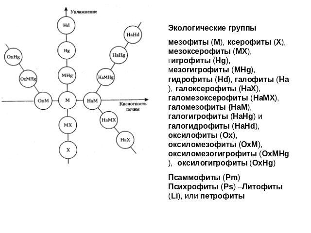 Экологические группымезофиты (М), ксерофиты (X), мезоксерофиты (MX), гигрофиты (Hg), мезогигрофиты (MHg), гидрофиты (Hd), галофиты (Hа), галоксерофиты (НаХ), галомезоксерофиты (НаМХ), галомезофиты (НаМ), галогигрофиты (НаHg) и галогидрофиты (HaHd), …