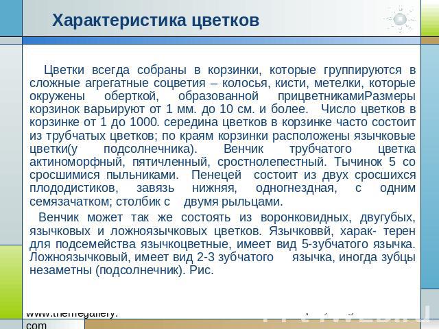 Характеристика цветков Цветки всегда собраны в корзинки, которые группируются в сложные агрегатные соцветия – колосья, кисти, метелки, которые окружены оберткой, образованной прицветникамиРазмеры корзинок варьируют от 1 мм. до 10 см. и более. Число …