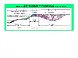 Обобщенная схема фациальной зональности морского (океанического) и солеродного б