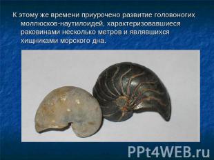 К этому же времени приурочено развитие головоногих моллюсков-наутилоидей, характ