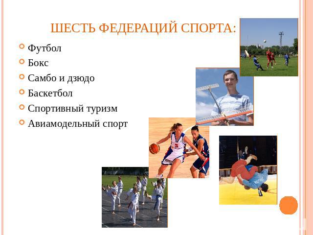 шесть федераций спорта: ФутболБоксСамбо и дзюдоБаскетболСпортивный туризмАвиамодельный спорт