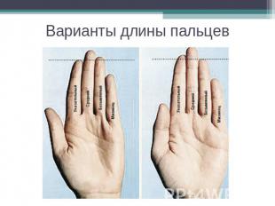 Варианты длины пальцев