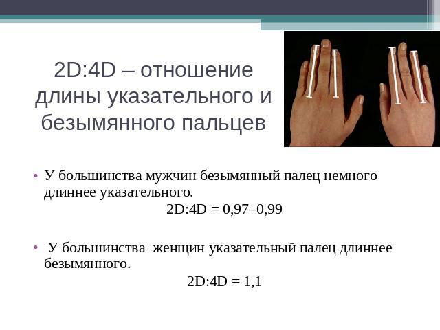 2D:4D – отношение длины указательного и безымянного пальцев У большинства мужчин безымянный палец немного длиннее указательного. 2D:4D = 0,97–0,99 У большинства женщин указательный палец длиннее безымянного. 2D:4D = 1,1