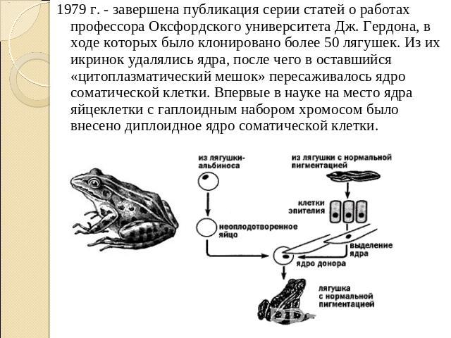 1979 г. - завершена публикация серии статей о работах профессора Оксфордского университета Дж. Гердона, в ходе которых было клонировано более 50 лягушек. Из их икринок удалялись ядра, после чего в оставшийся «цитоплазматический мешок» пересаживалось…