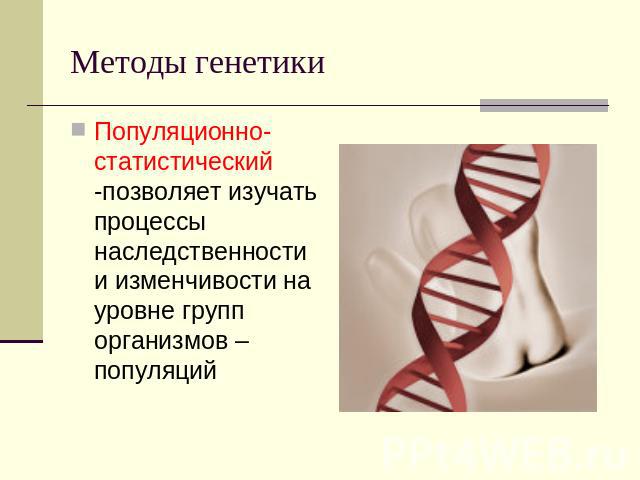 Методы генетики Популяционно-статистический -позволяет изучать процессы наследственности и изменчивости на уровне групп организмов – популяций