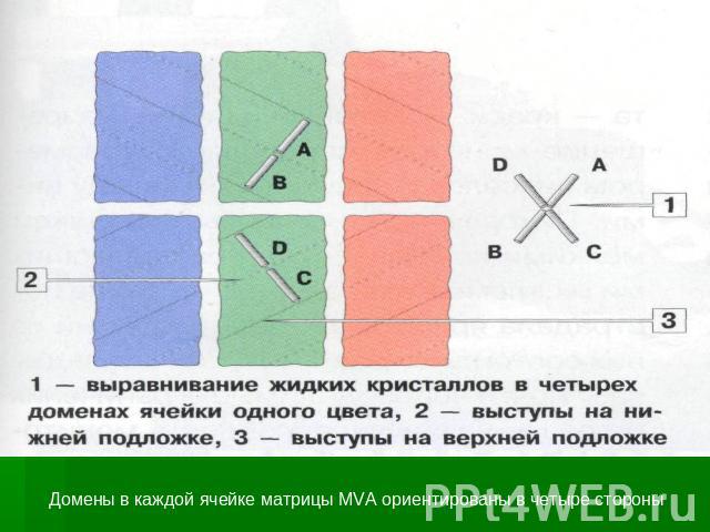 Домены в каждой ячейке матрицы MVA ориентированы в четыре стороны