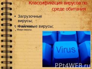 Классификация вирусов по среде обитания Загрузочные вирусы;Файловые вирусы; Сете
