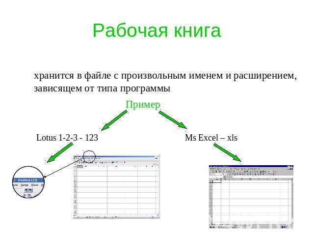 Рабочая книга хранится в файле с произвольным именем и расширением, зависящем от типа программы Пример Lotus 1-2-3 - 123 Ms Excel – xls