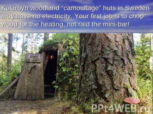 Kolarbyn woodland “camouflage” huts in Sweden may have no electricity. Your firs