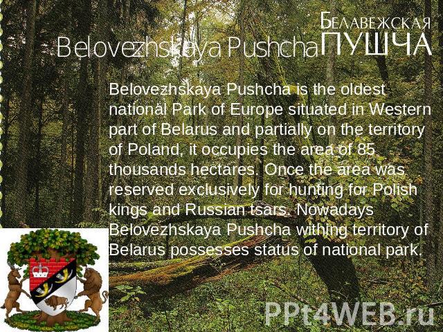 Belovezhskaya Pushcha Belovezhskaya Pushcha is the oldest national Park of Europe situated in Western part of Belarus and partially on the territory of Poland, it occupies the area of 85 thousands hectares. Once the area was reserved exclusively for…