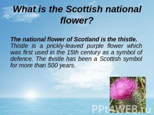 What is the Scottish national flower? The national flower of Scotland is the thi