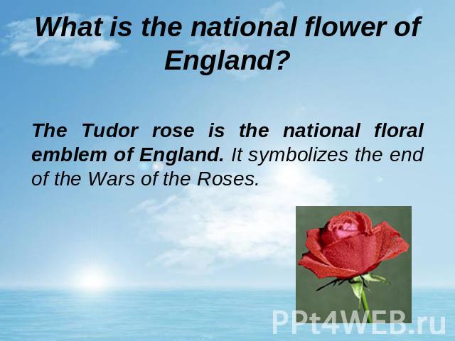 What is the national flower of England? The Tudor rose is the national floral emblem of England. It symbolizes the end of the Wars of the Roses.
